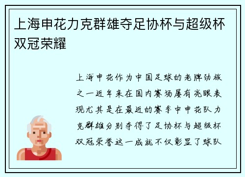 上海申花力克群雄夺足协杯与超级杯双冠荣耀